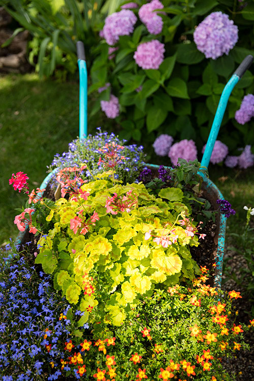 cartwithflowers